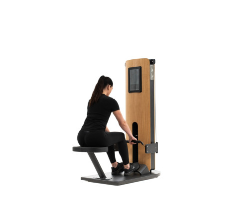 Тренажер для розтягування спини NOHRD StudioLine Back Extension Oak SL-NH-51.371, дуб