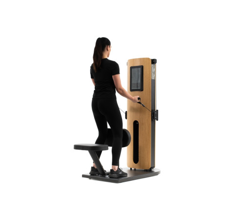 Тренажер для тяги сидячи NOHRD StudioLine Seated Row Oak SL-NH-51.351, дуб