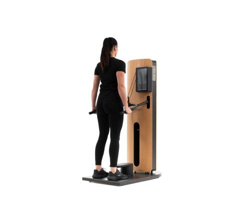 NOHRD StudioLine Tricep Dip machine Oak with monitor