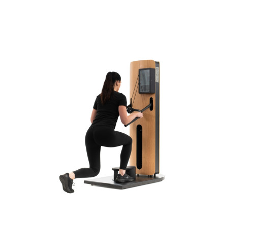 NOHRD StudioLine Tricep Dip machine Oak with monitor