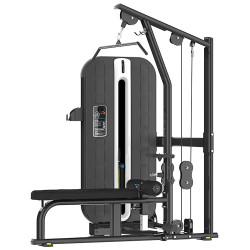 Двофункціональний тренажер Bauerfitness PLM-421 для спини