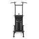 Силова станція для підтягувань inSPORTline Velocer CD85