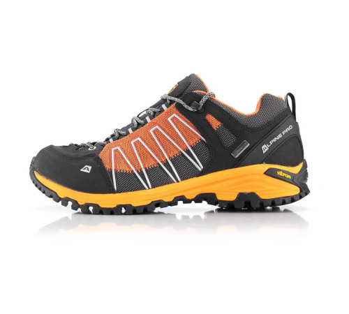 Кросівки Alpine Pro Triglav 3 PTX Low