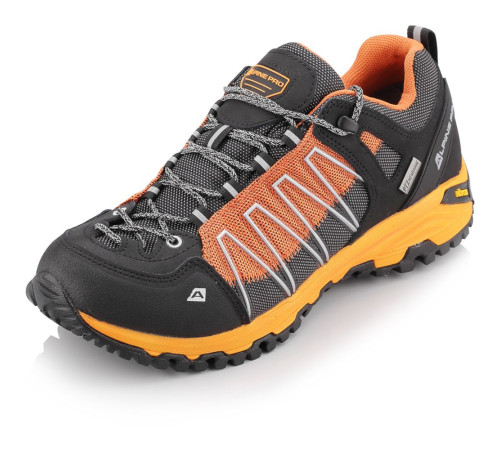Кросівки Alpine Pro Triglav 3 PTX Low