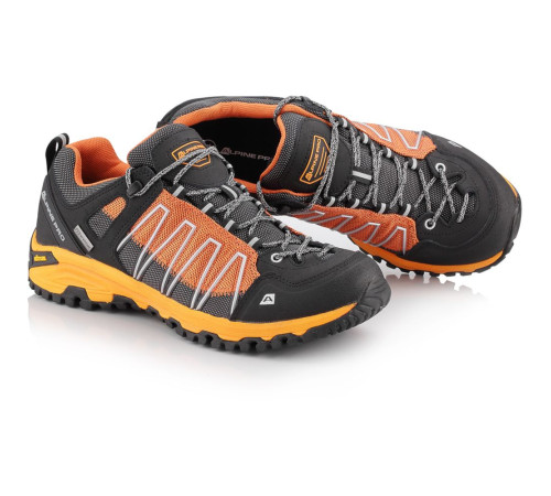 Кросівки Alpine Pro Triglav 3 PTX Low