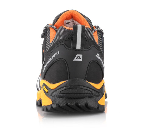 Кросівки Alpine Pro Triglav 3 PTX Low