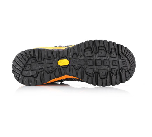 Кросівки Alpine Pro Triglav 3 PTX Low