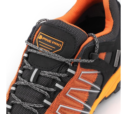 Кросівки Alpine Pro Triglav 3 PTX Low