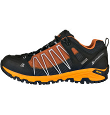 Кросівки Alpine Pro Triglav 3 PTX Low (2018)