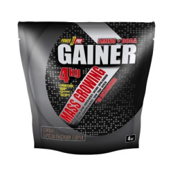 Gainer Power Pro- 4000g Brazil Nut