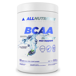 BCAA Max Support Instant - 500g Bllueberry