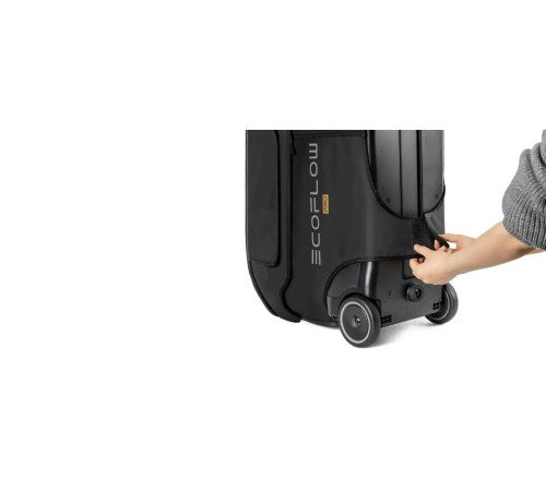 Сумка EcoFlow DELTA Pro Bag Сумка EcoFlow DELTA Pro Bag