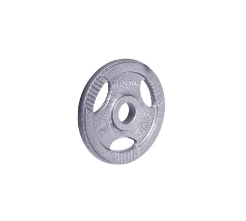 Диск чавунний inSPORTline Hamerton 5 кг