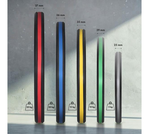 Диски олімпійські HMS TOG 2 x 5 - 25 кг