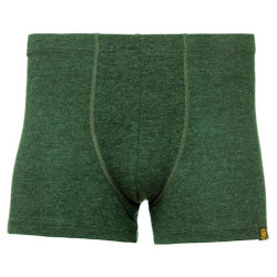 Термотруси ч Turbat Retezat Boxer Mns kombu green - S - хакі