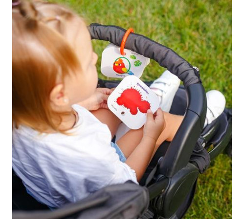 Картки на кільці Vladi Toys Кольори і звірята (VT2000-01) Картки на кільці Vladi Toys Кольори і звірята (VT2000-01)
