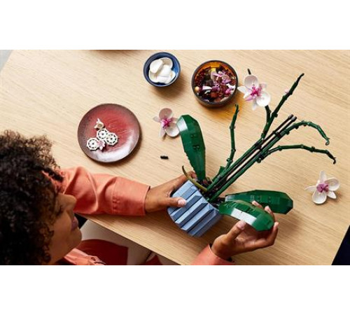 Конструктор LEGO Icons Орхідея 608 деталей (10311)