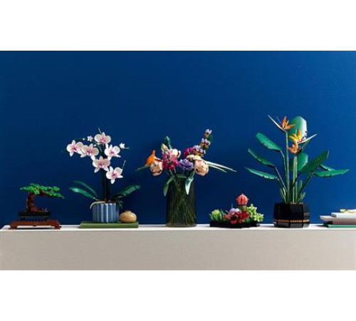 Конструктор LEGO Icons Орхідея 608 деталей (10311)