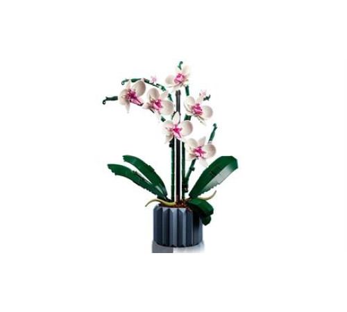 Конструктор LEGO Icons Орхідея 608 деталей (10311)