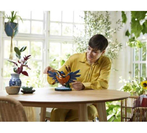 Конструктор LEGO Icons Птах рибалочка 834 деталі (10331)