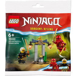 Конструктор LEGO NINJAGO Битва за Храм Кая і Раптона 47 деталей (30650)
