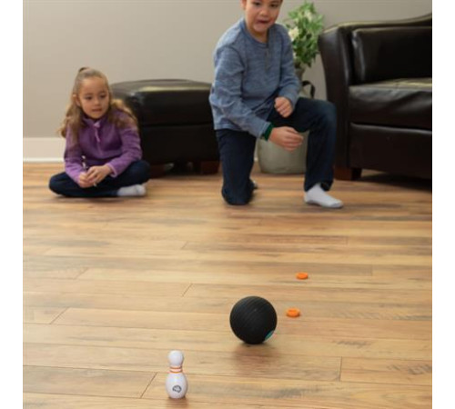 Ігровий набір Fat Brain Toys CurveBowl Боулінг (F271ML)