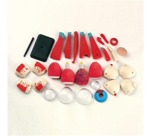 Модель очного яблука Edu-Toys збірна 14 см (SK007) Модель очного яблука Edu-Toys збірна 14 см (SK007)