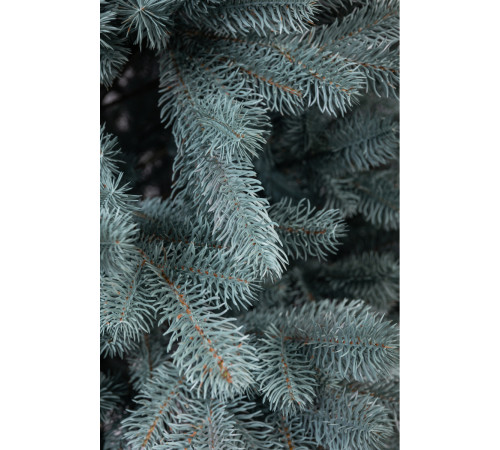 Штучна ялинка Говерла, смарагд, 1,5 м