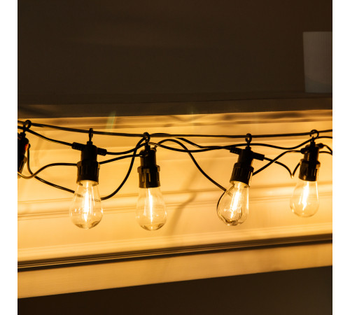 Ретро-гірлянда вулична 10 LED, 5 м, теплий білий