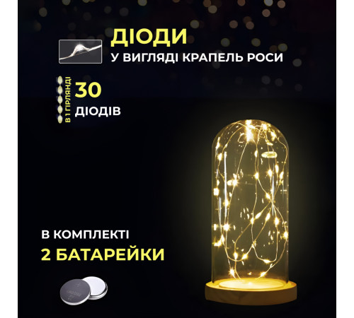 Гірлянда Роса нитка 30 LED, 3 м, на батарейках, зелена оболонка, жовтий Гірлянда Роса нитка 30 LED, 3 м, на батарейках, зелена оболонка, жовтий