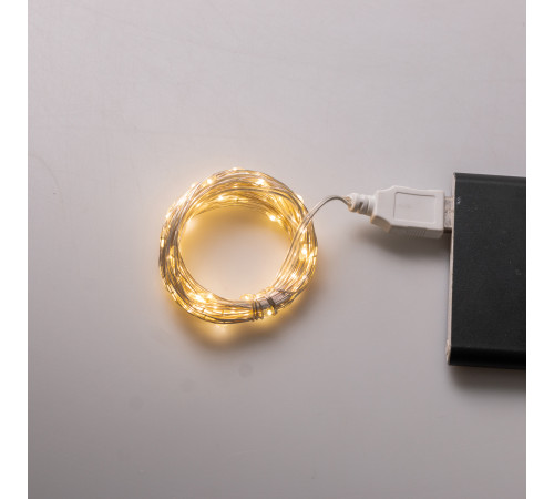Гірлянда Роса 100 LED, 10 м, від USB, жовтий Гірлянда Роса 100 LED, 10 м, від USB, жовтий
