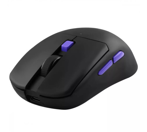 Миша ігрова бездротова Proove Gaming Everon чорна