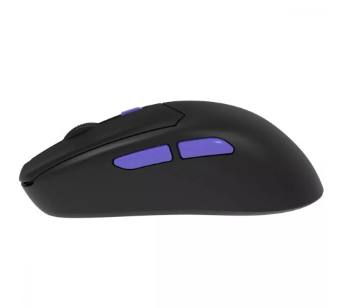 Миша ігрова бездротова Proove Gaming Everon чорна
