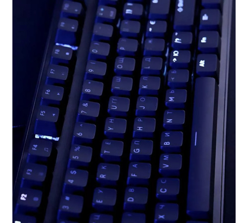 Клавіатура ігрова механічна Proove Gaming Everfrost чорна