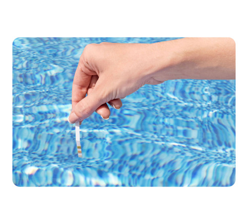 Хлоргенератор для басейнів Bestway 58775 12 г/год