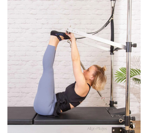 Пружина для реформерів Align Pilates Half Cadillac 64 см легка, фіолетова
