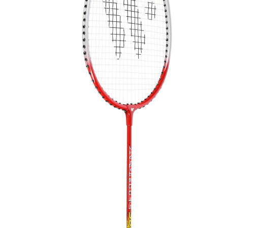 Ракектки для бадмінтону WISH ALUMTEC 366K, червоно-блакитні