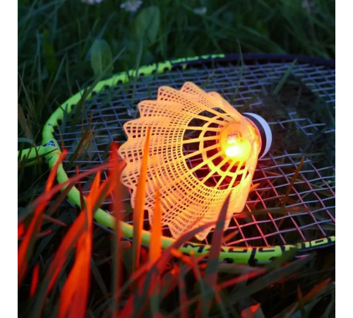 Набір для бадмінтону Talbot Torro Magic Night 449405, чорно-зелений