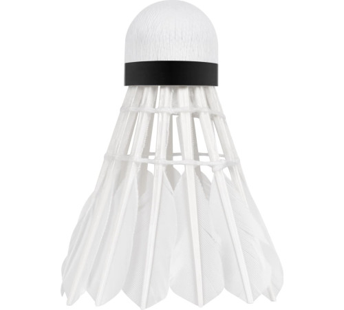 Волани для бадмінтону пір'яні Rebel Active RBA-4103, 6 шт